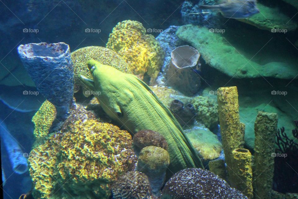 Boston Massachusetts aquarium 