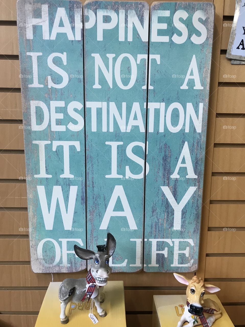 We should strive to enjoy each one of the days we have on earth, we have been granted free access to our lands, so let’s enjoy it.