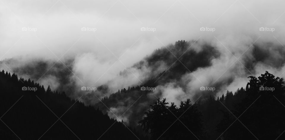 View of mountain in fog