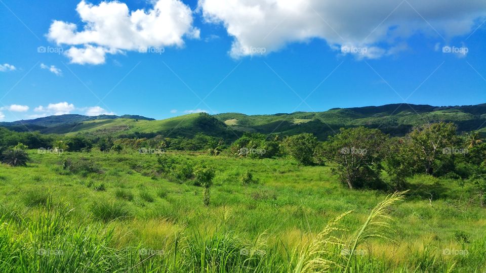 Scenic view of mountains