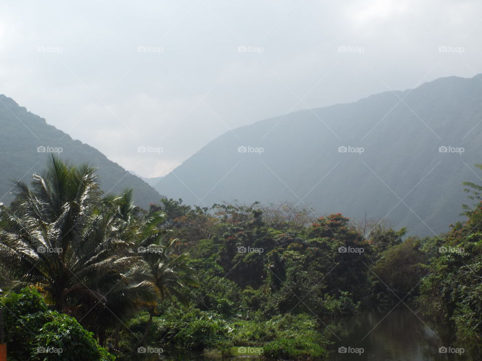 Inside the Waipio valley