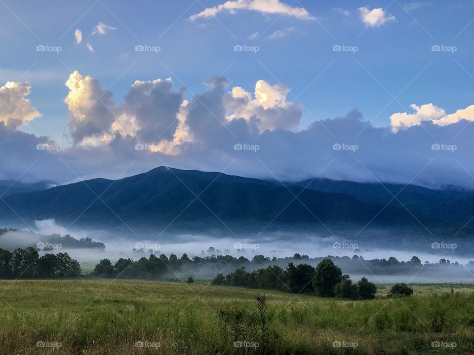 Foggy morning in the great smoky mountains of tennessee