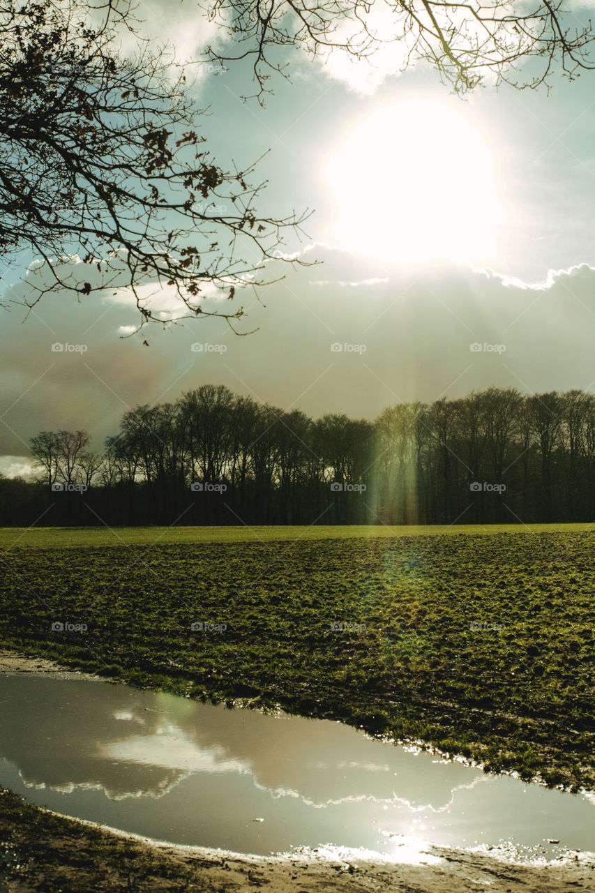 Reflection in a puddle