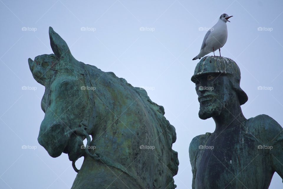 Bird perching on statue of Hans Waldmann in Zurich