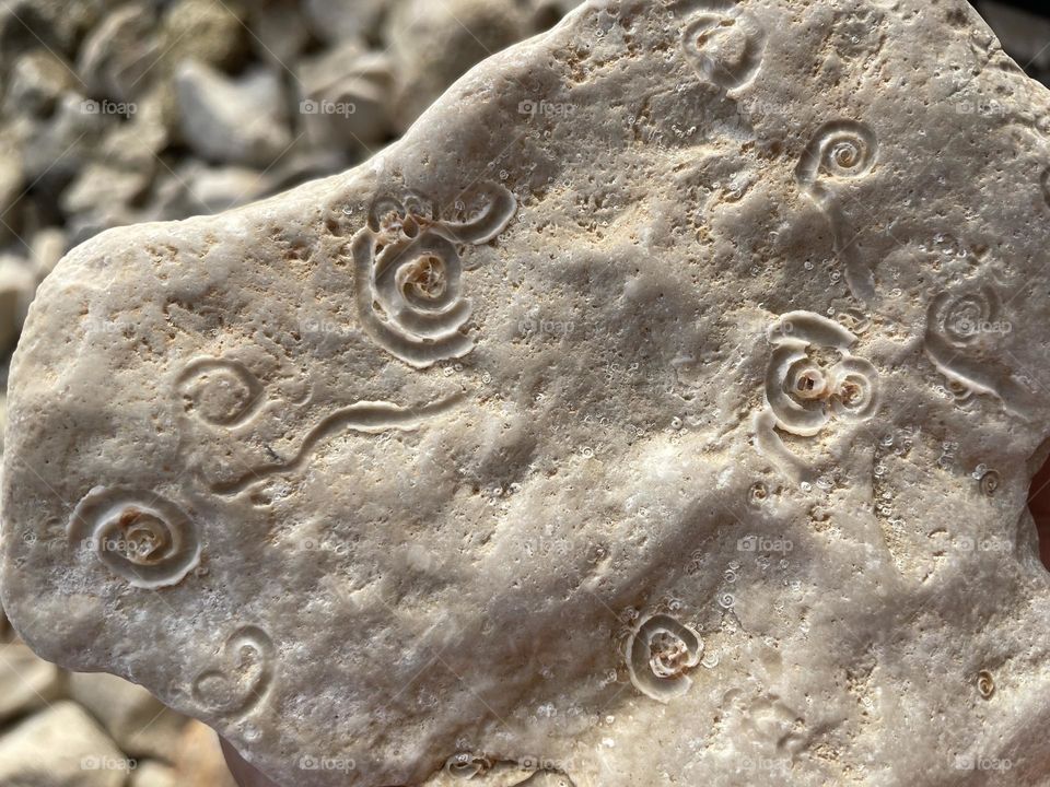 A stone on beach in Croatia with water drawing on it. 