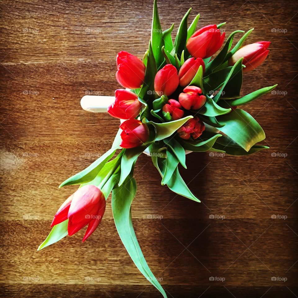 Tulips