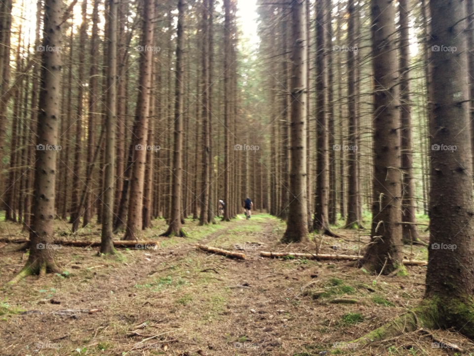 sweden dalsland mountain bike forest trail by josef.mexicanson