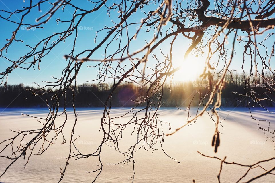 Nature, Water, Landscape, Tree, No Person