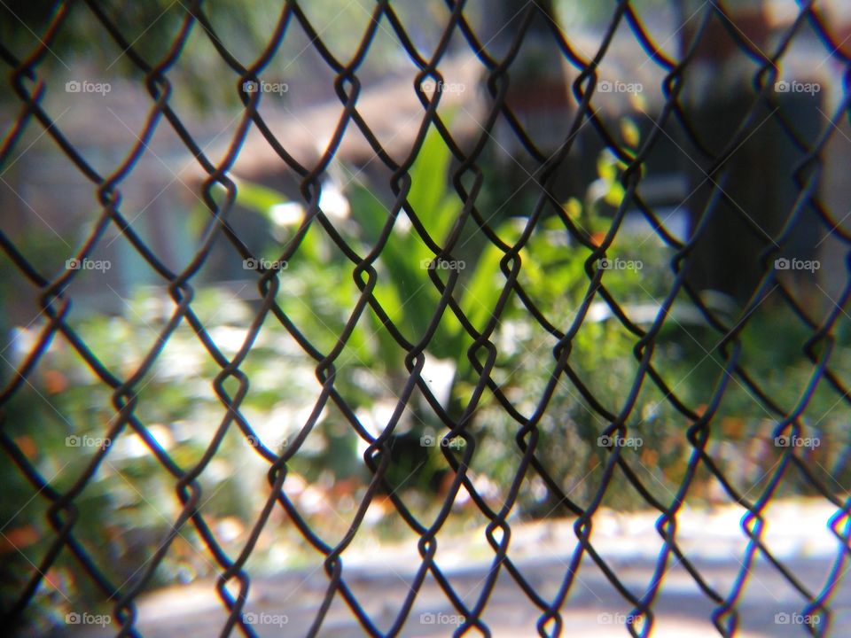 Web, Fence, Cage, No Person, Wire
