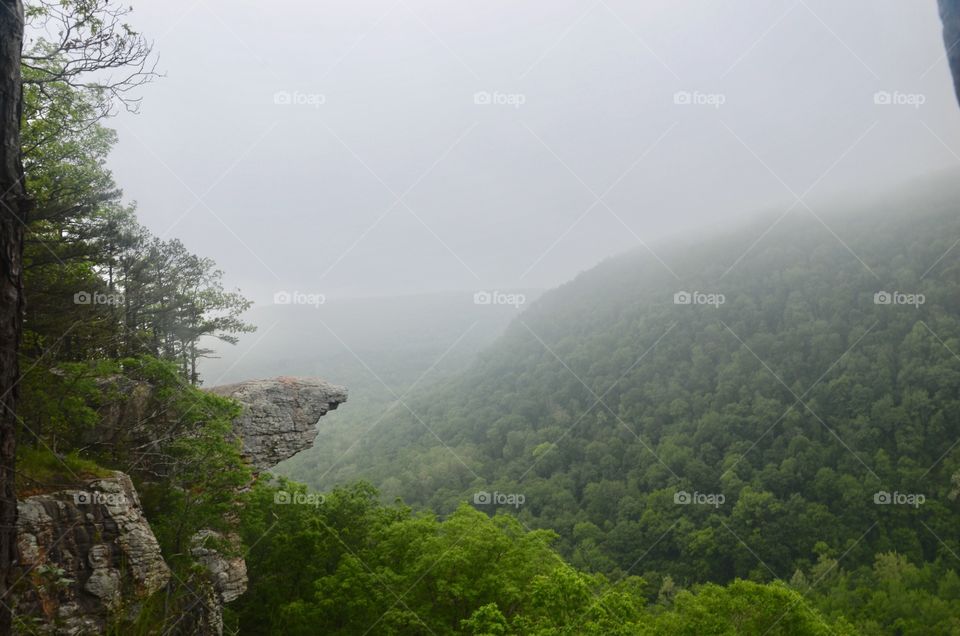 whitaker point fog