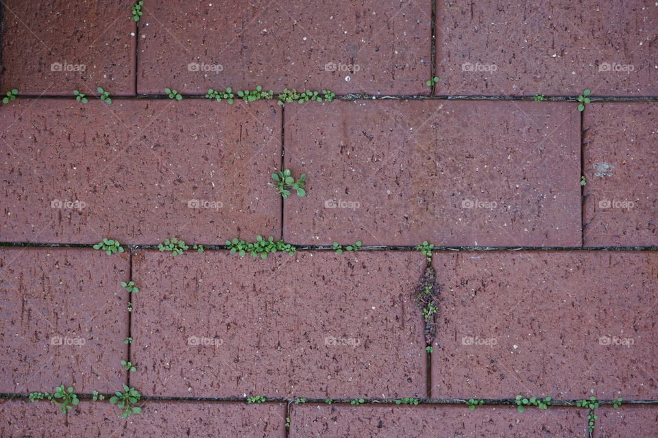 create for background