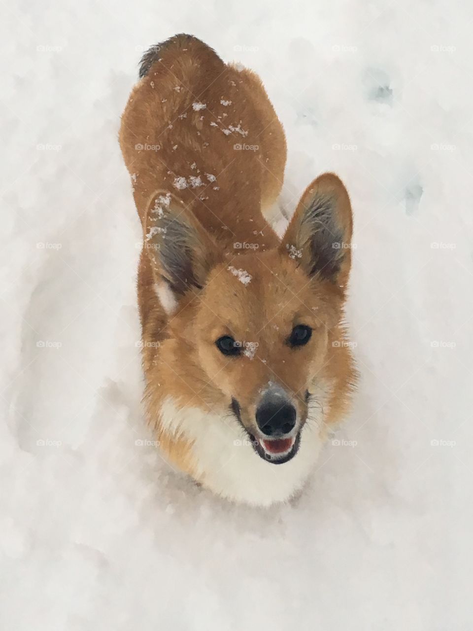 She loves the snow 