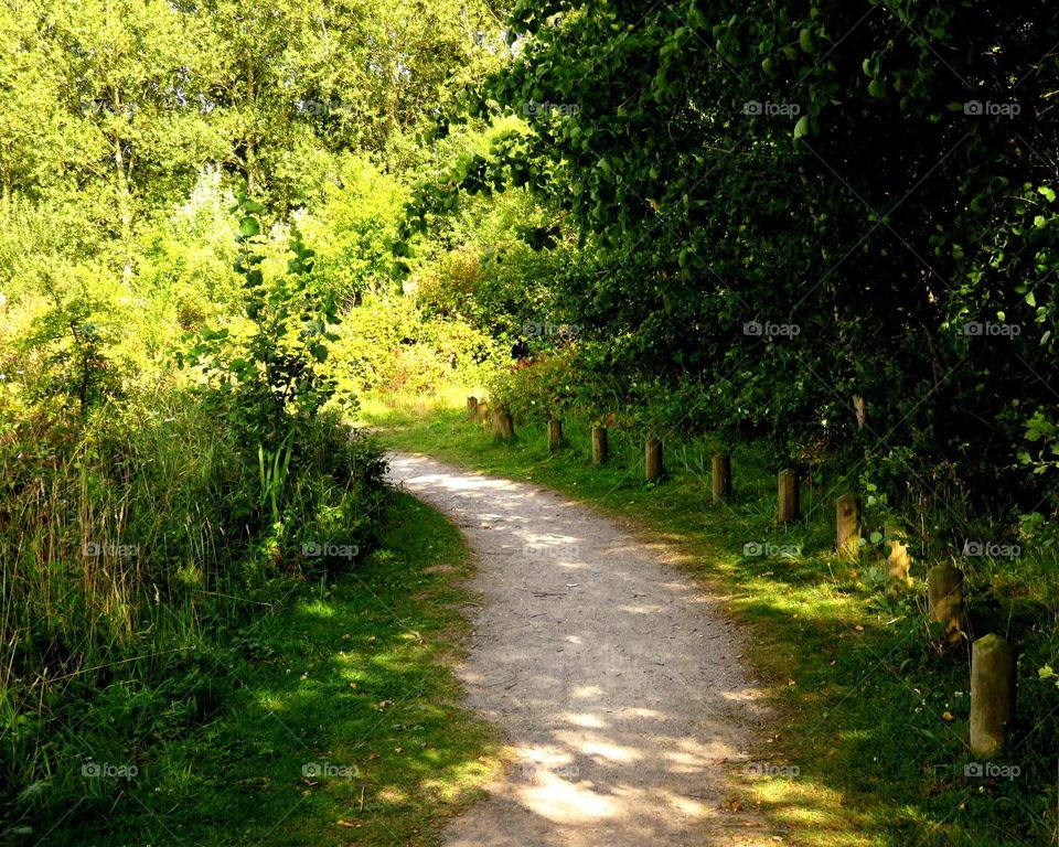 Near Conchil le Temple, Northern France