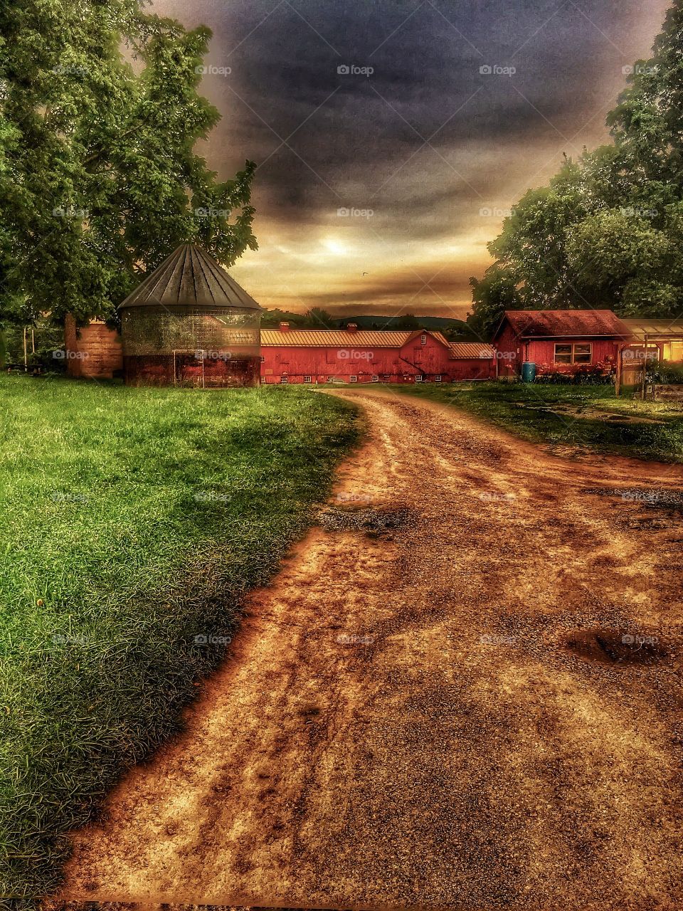 Barn, farmhouse, and silo. Life on the farm 