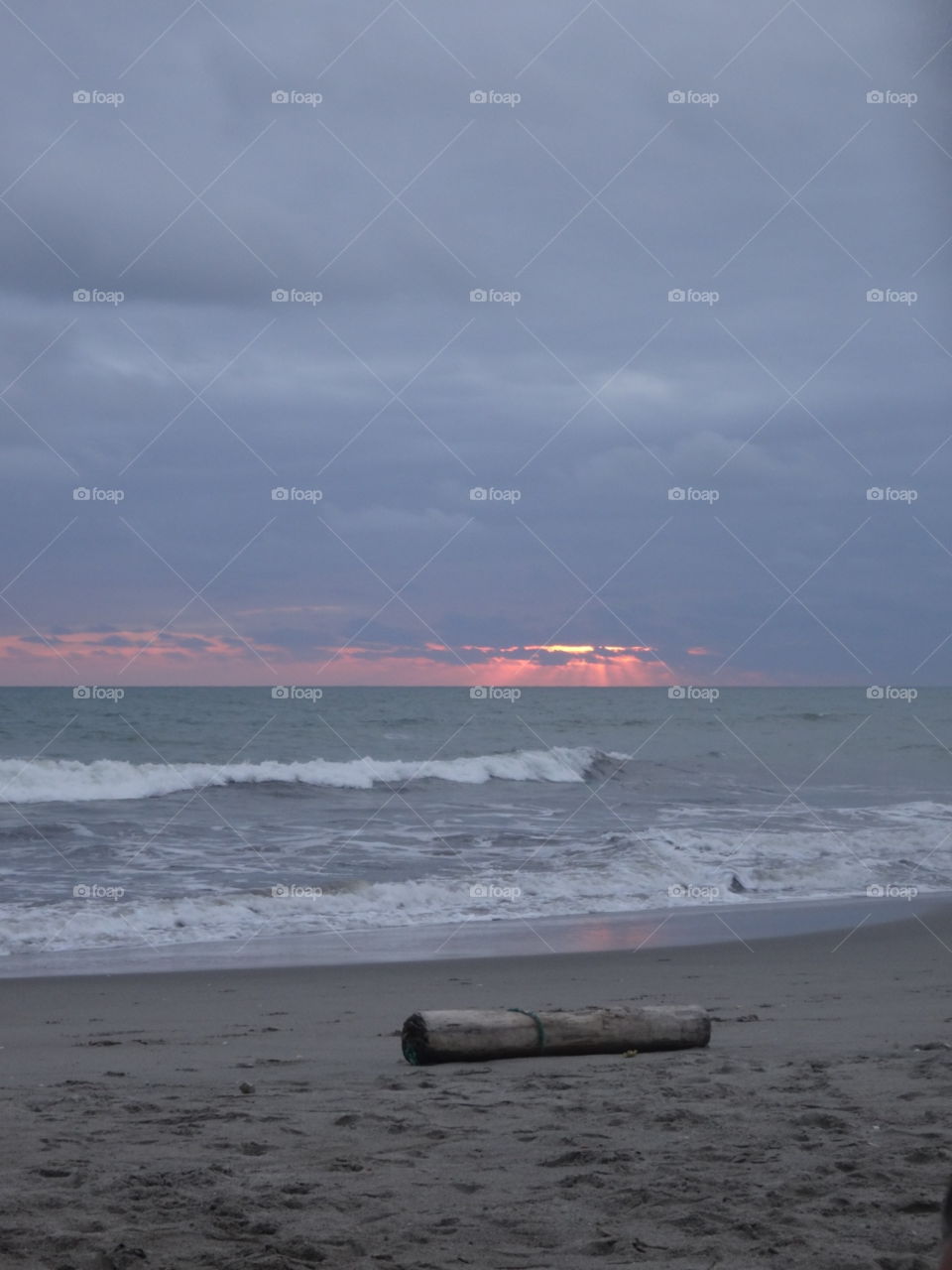 A lone piece of driftwood sitting on the edge of the sea at sunset in Canoa, Ecuador.