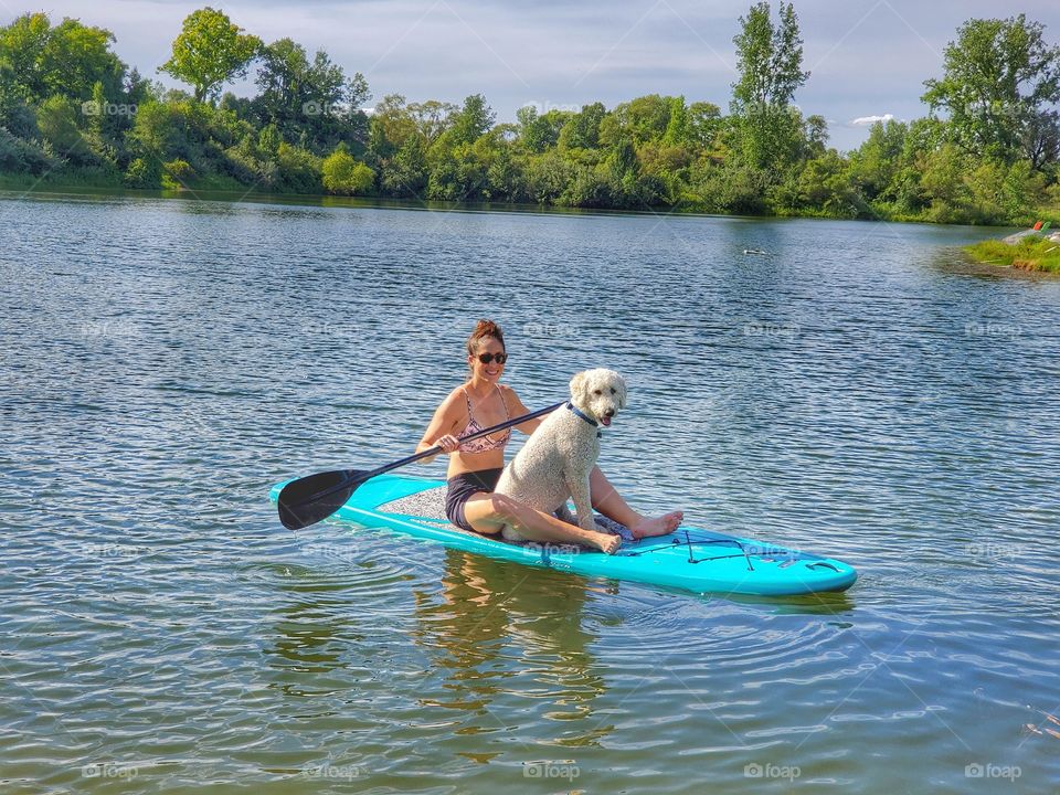 paddleboard with dog