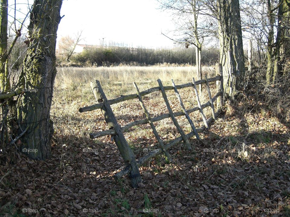 Paisaje del campo leonés