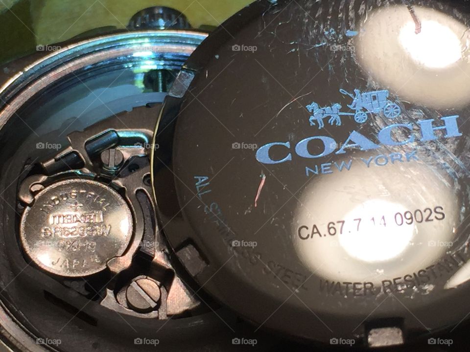 Coach Watch Open Back