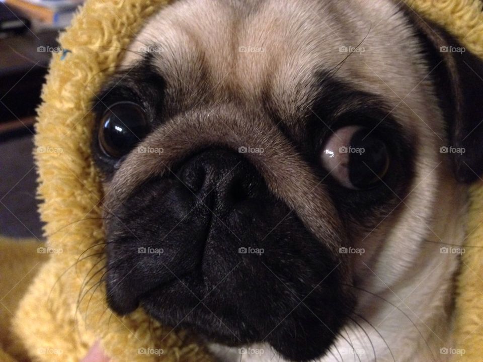 I've got my eyes on you.