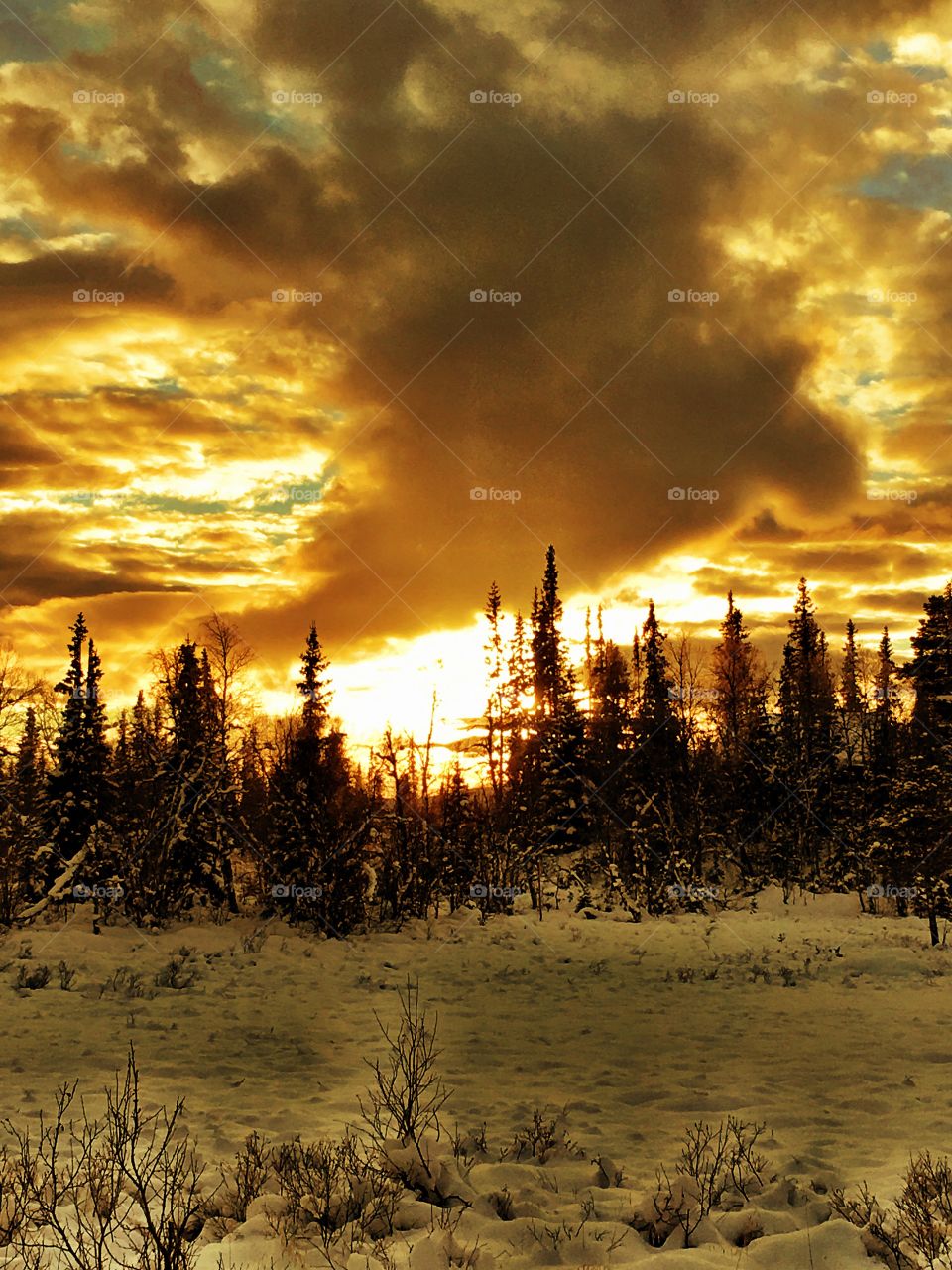 Sunset in winter landscape