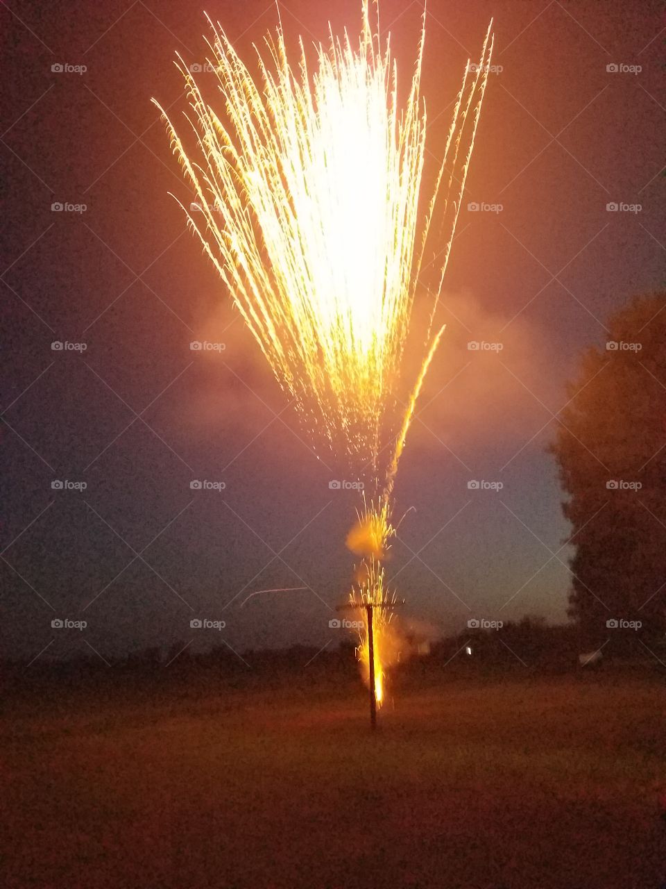 lighting up the sky fireworks