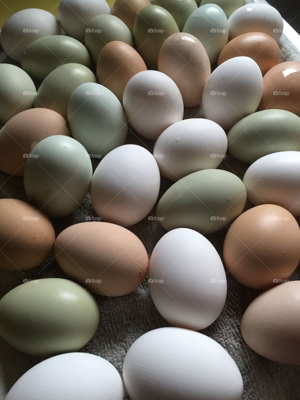 Bountiful eggs