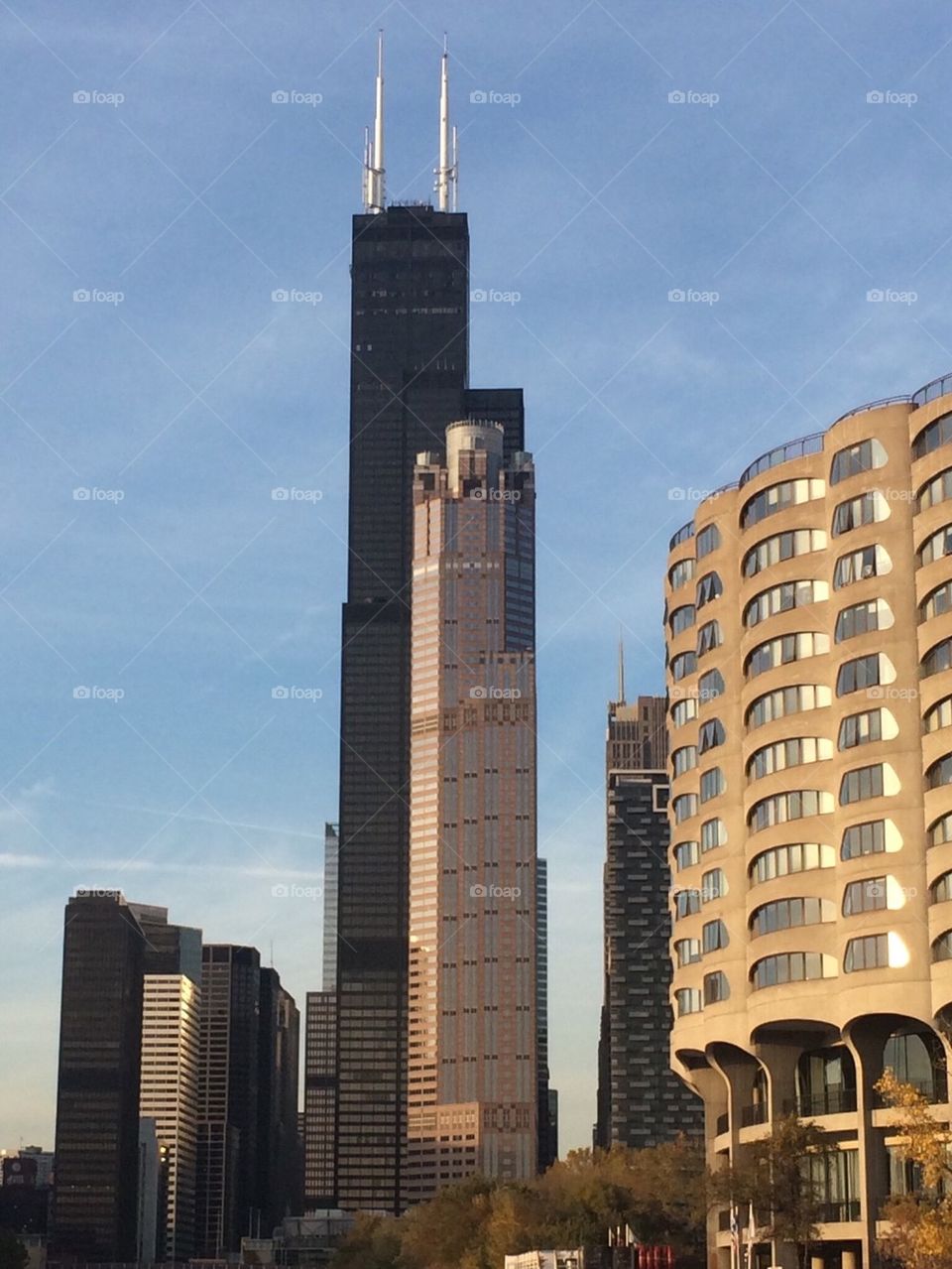 Willis Tower from Chicago River
