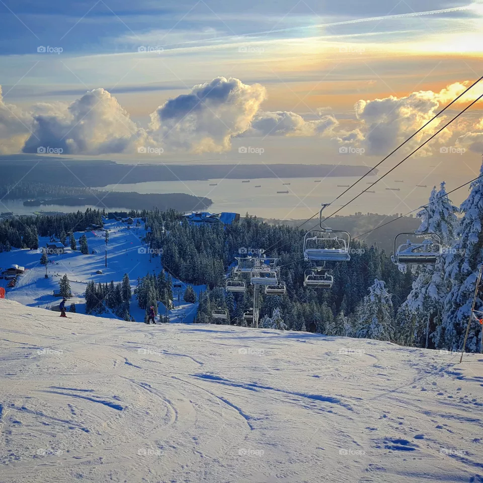 Winter, Snow, Cold, Frozen, Landscape