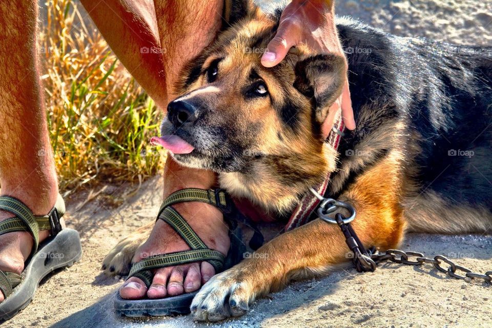 Mans sweetest friend