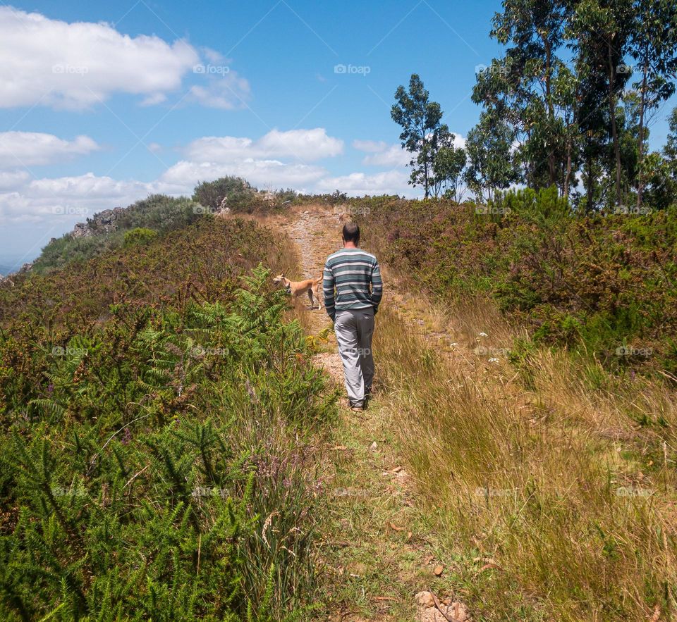 A man walks with his dogs up a steep hill in central Portugal 