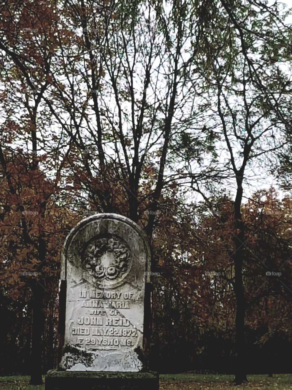 A single Victorian headstone with a fall backdrop.