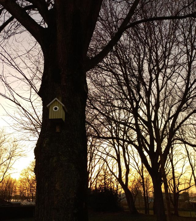 bird house