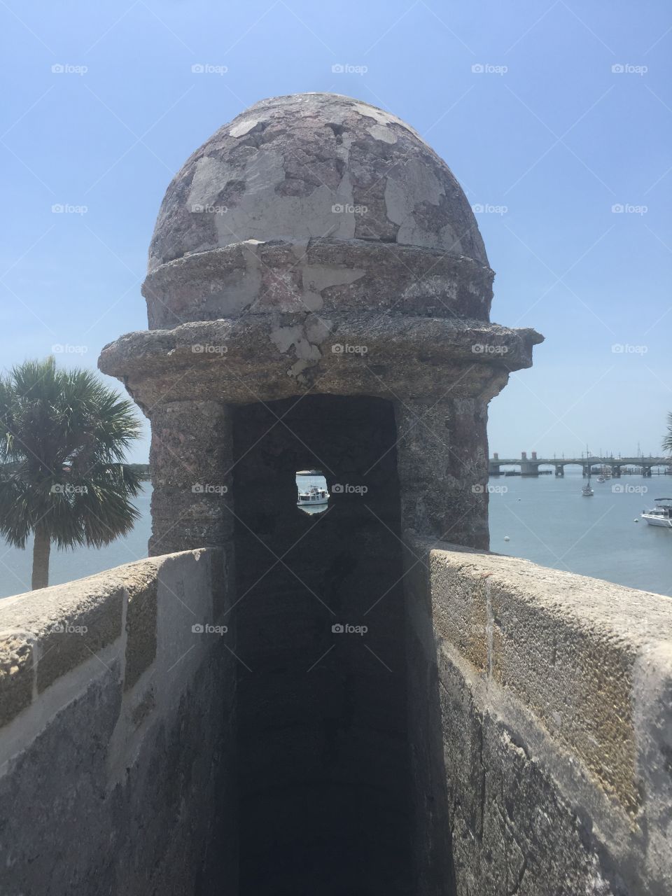 A Picture within  a Picture 