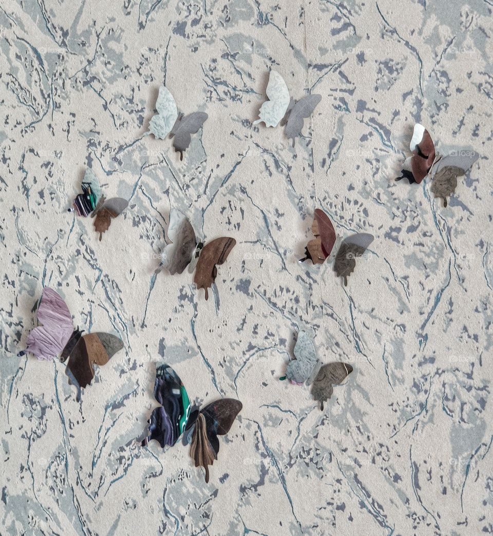 Mirror butterflies on the wall