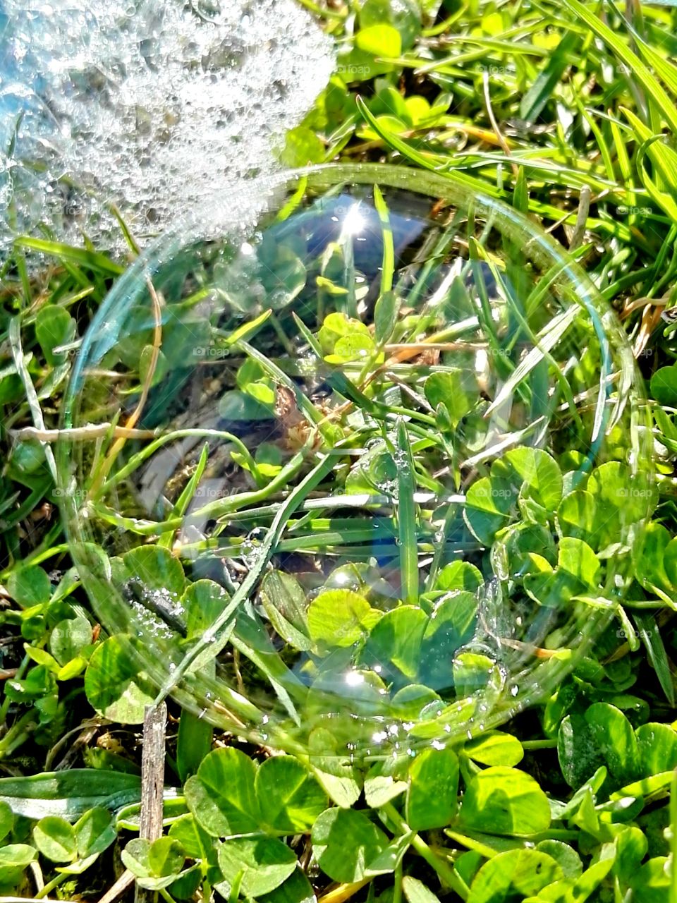 bubble in grass