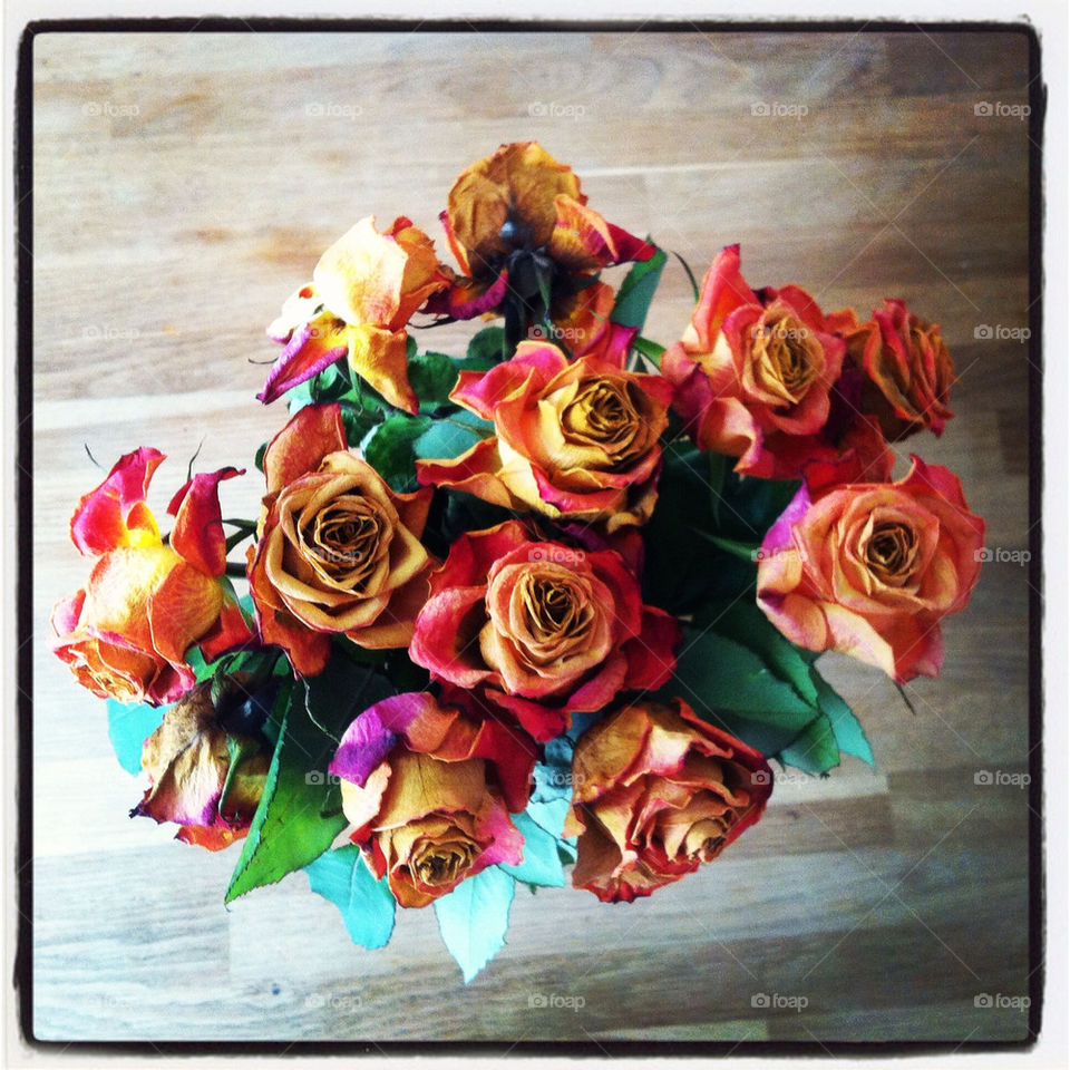 Dead but still pretty