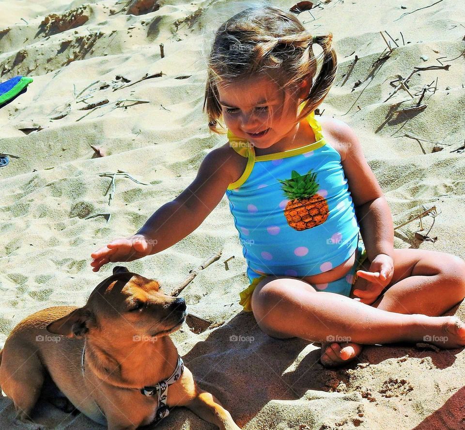 Beach,sand,sun,dog = fun for this little one !