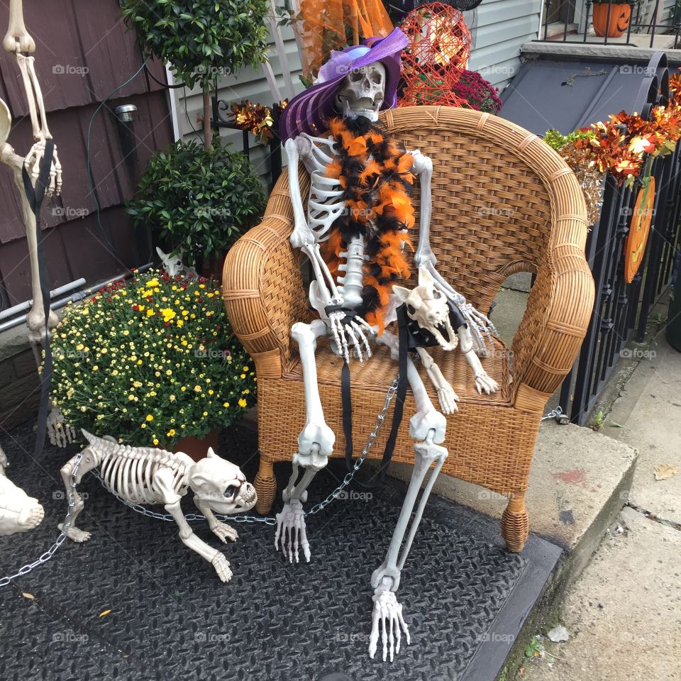 Skelton dressed to impress 