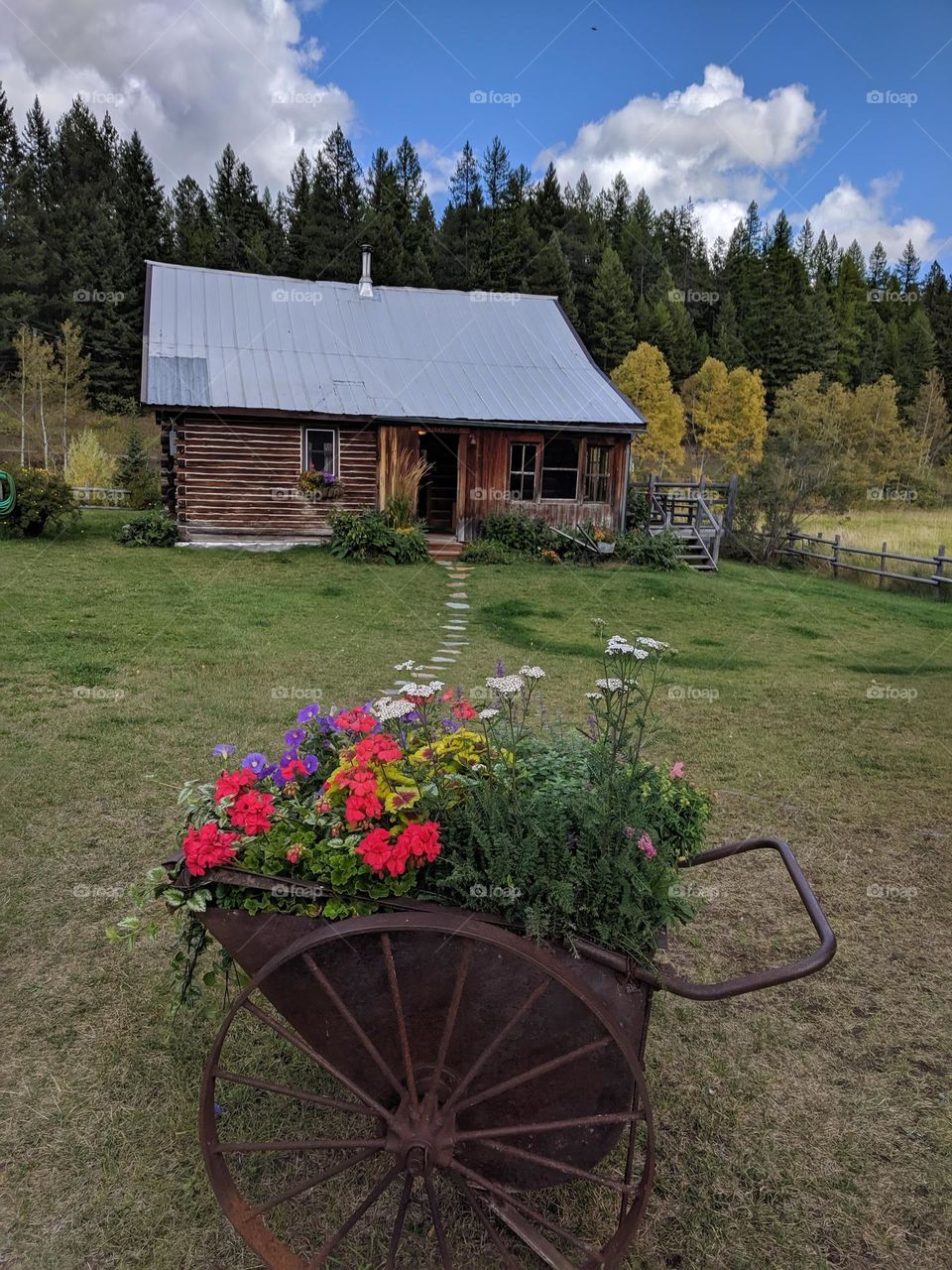 flowers cabin in Montana