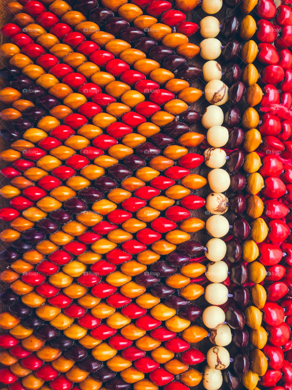 Red-crowned Pataxó ethnicity Bahia Brazil.