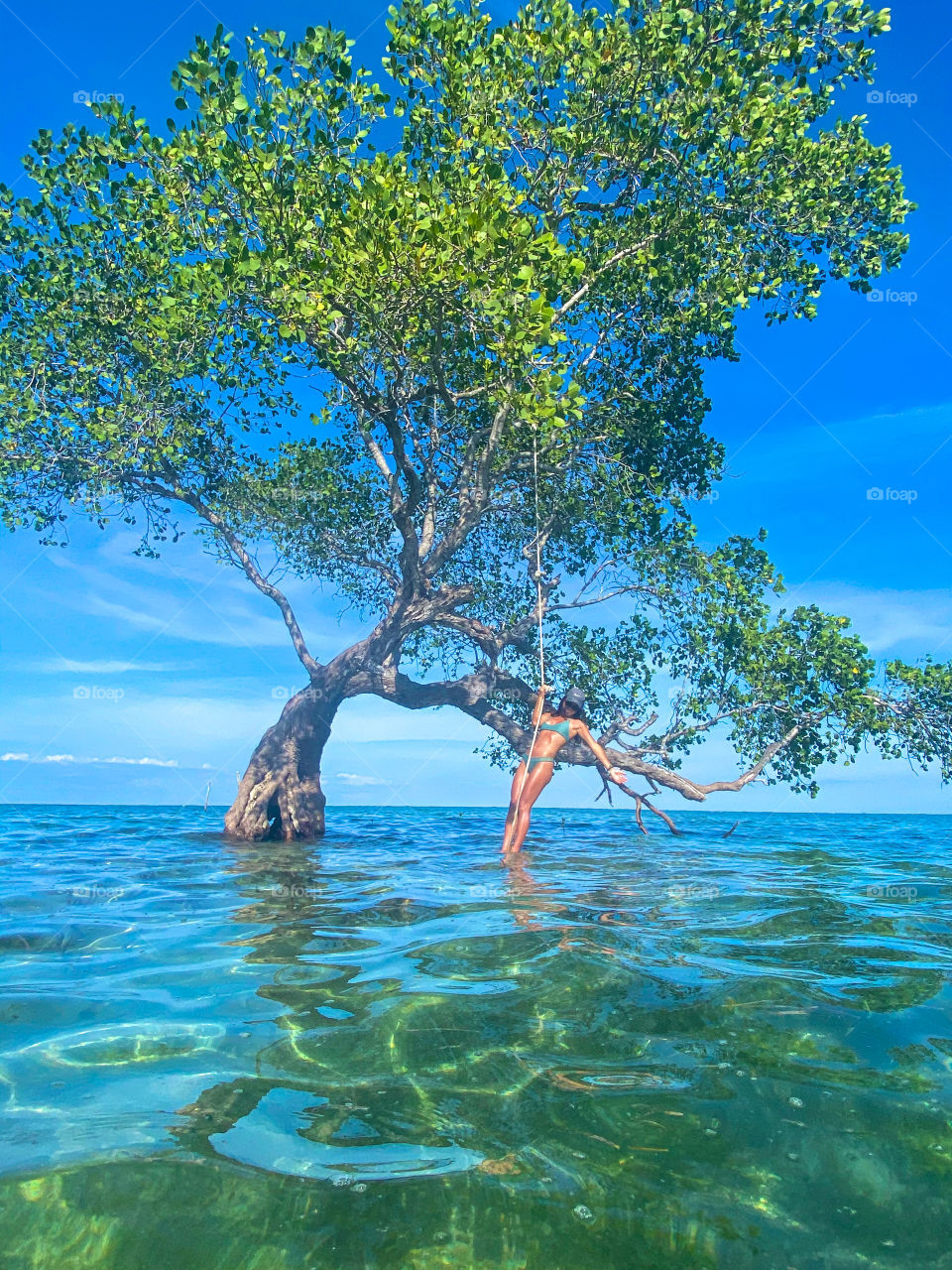Swinging into summer on a rope hanging off a tree that is sitting out in the water