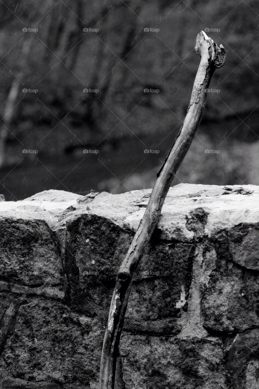 Taking a break in the rain...