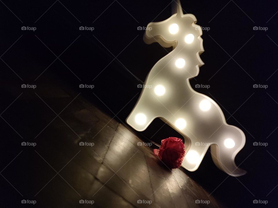 Unicorn light