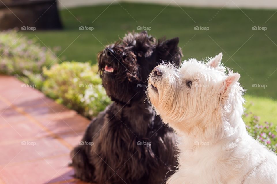 It’s spring and we love it