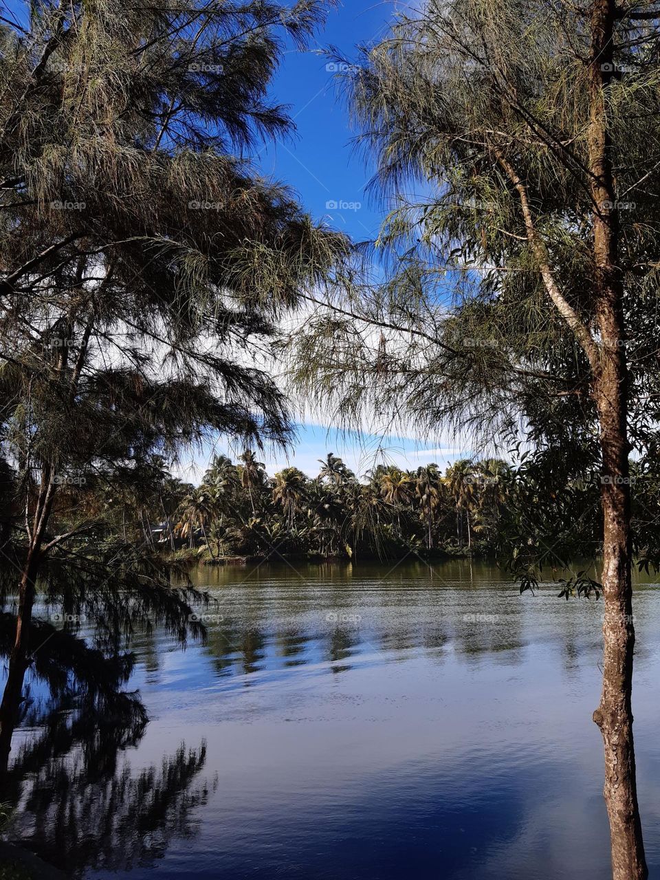 I aspire to be as calm as nature 💙