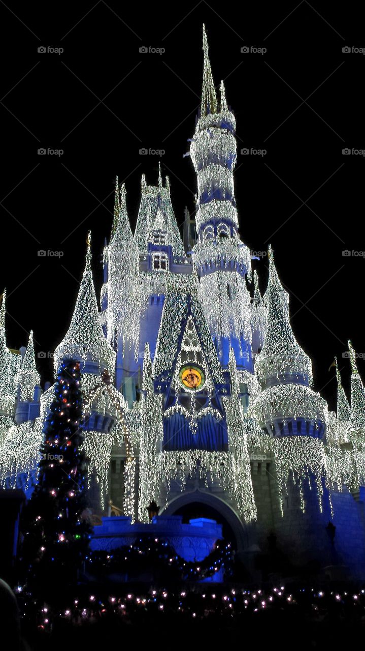 Cinderella's Castle