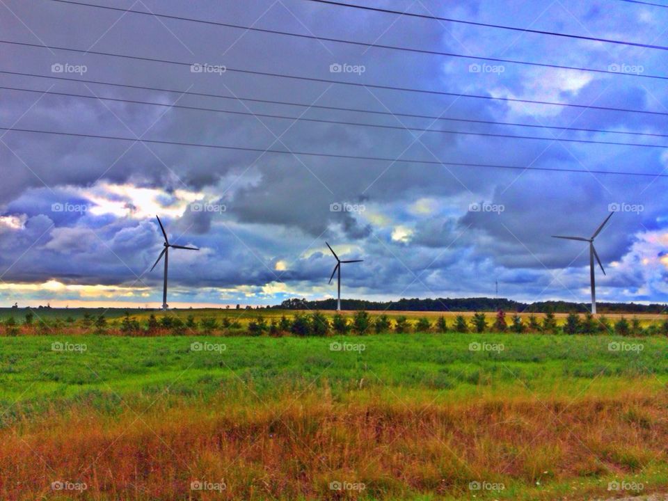 Wind Farm