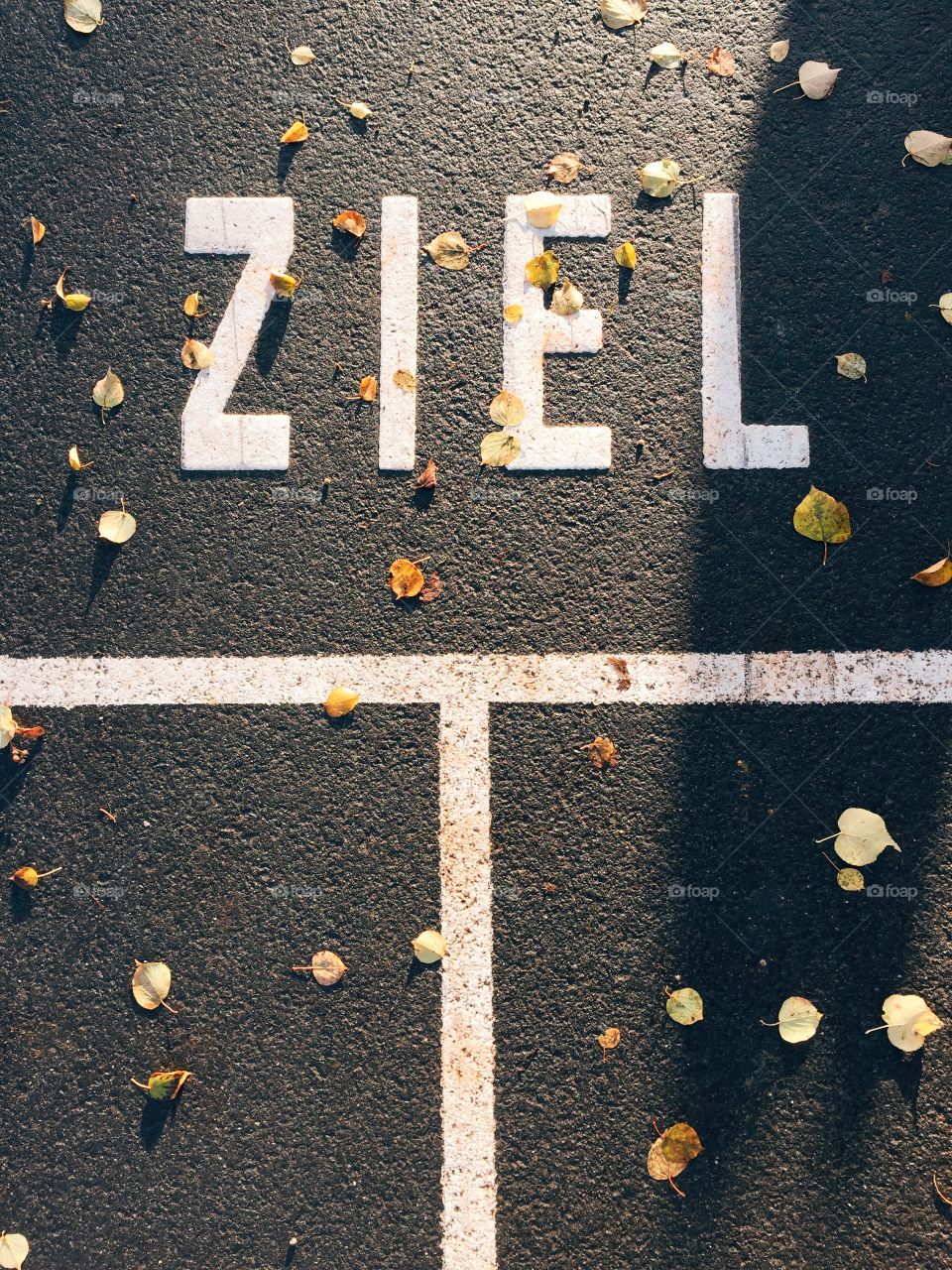 German goal line in park. Goal line in park, early sun and autumn leaves