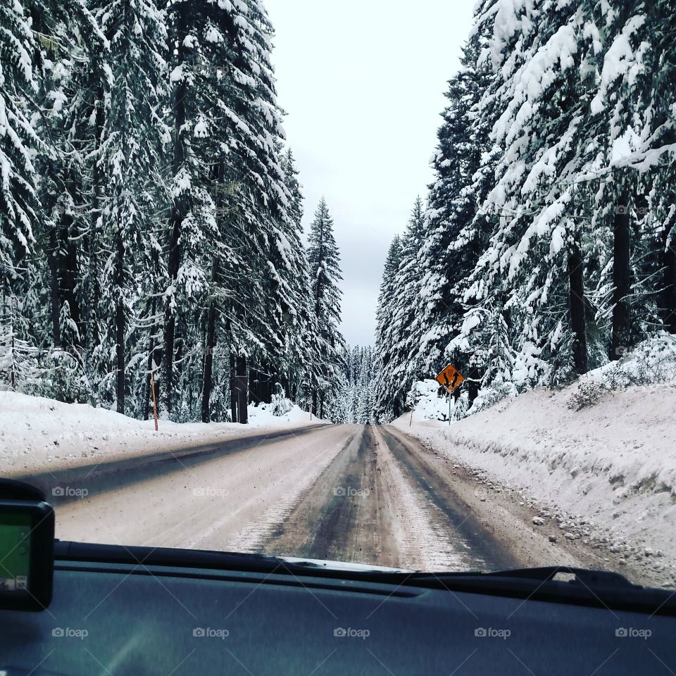 Oregon winter