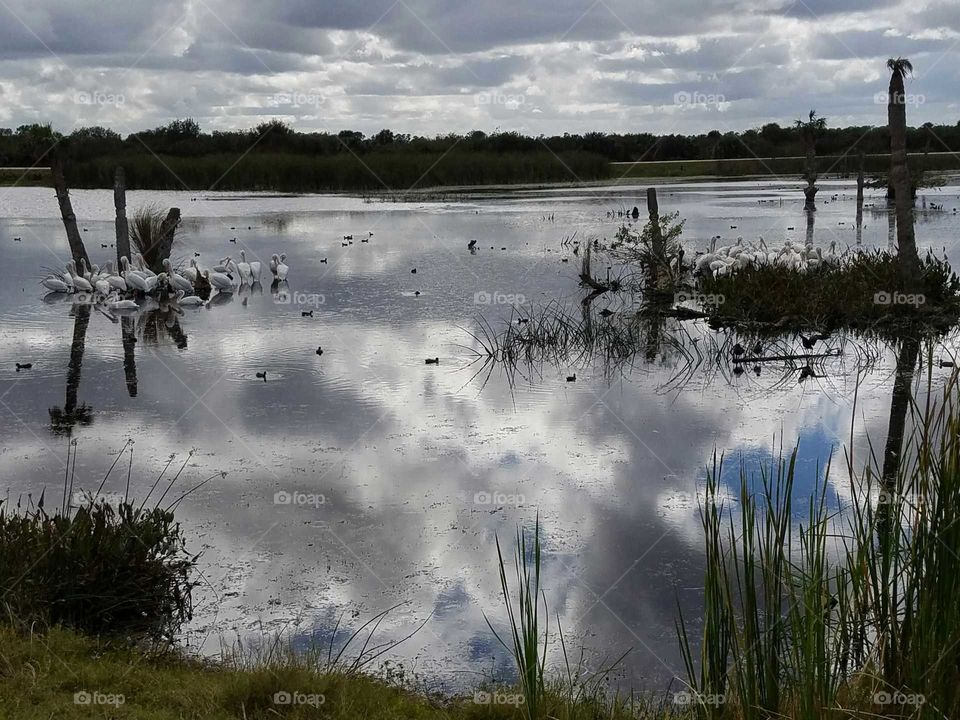 Reflections over Ritch Grissom Wetlands